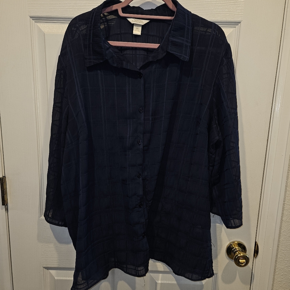 CJ Banks sheer blue blouse size 3x